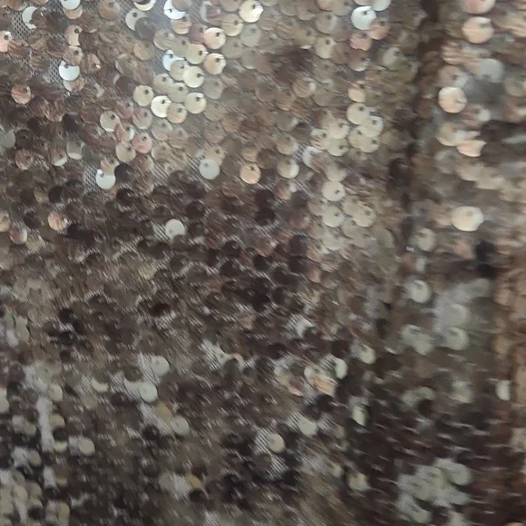 Sequin Dress - Picture 3 of 6